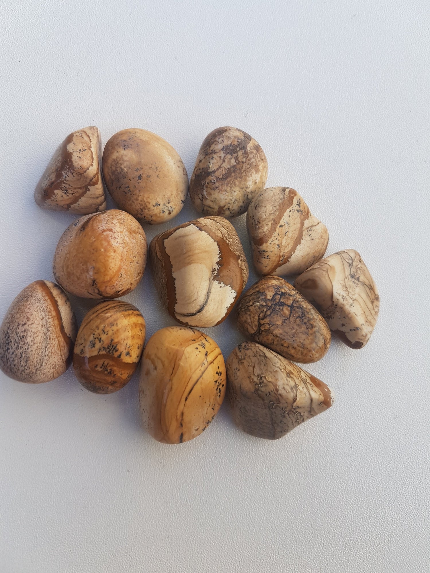 Tumbled Stone - Picture Jasper - Nature's Magick