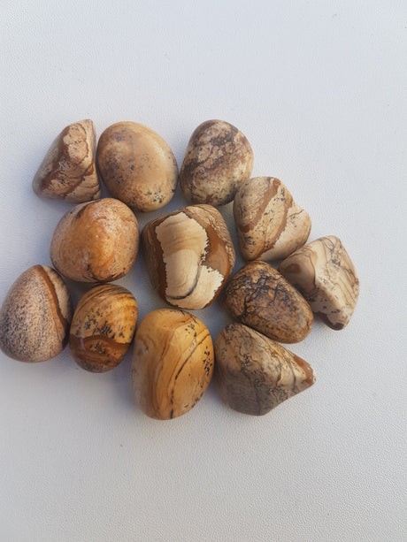 Tumbled Stone - Picture Jasper - Nature's Magick