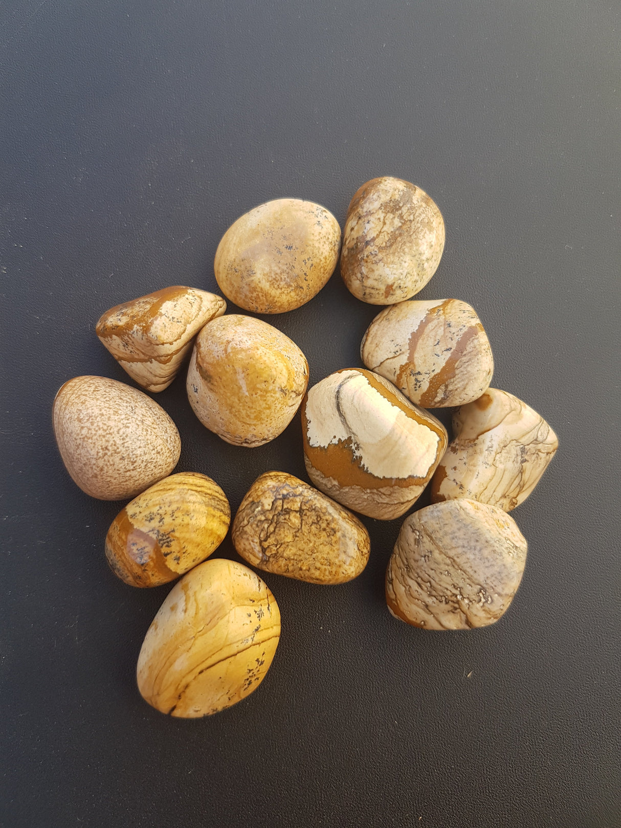 Tumbled Stone - Picture Jasper - Nature's Magick