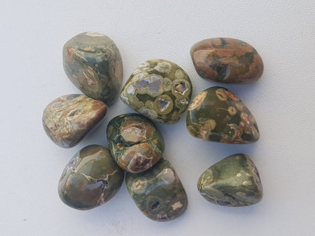 Tumbled Stone - Rainforest Jasper / Green Rhyolite - Nature's Magick