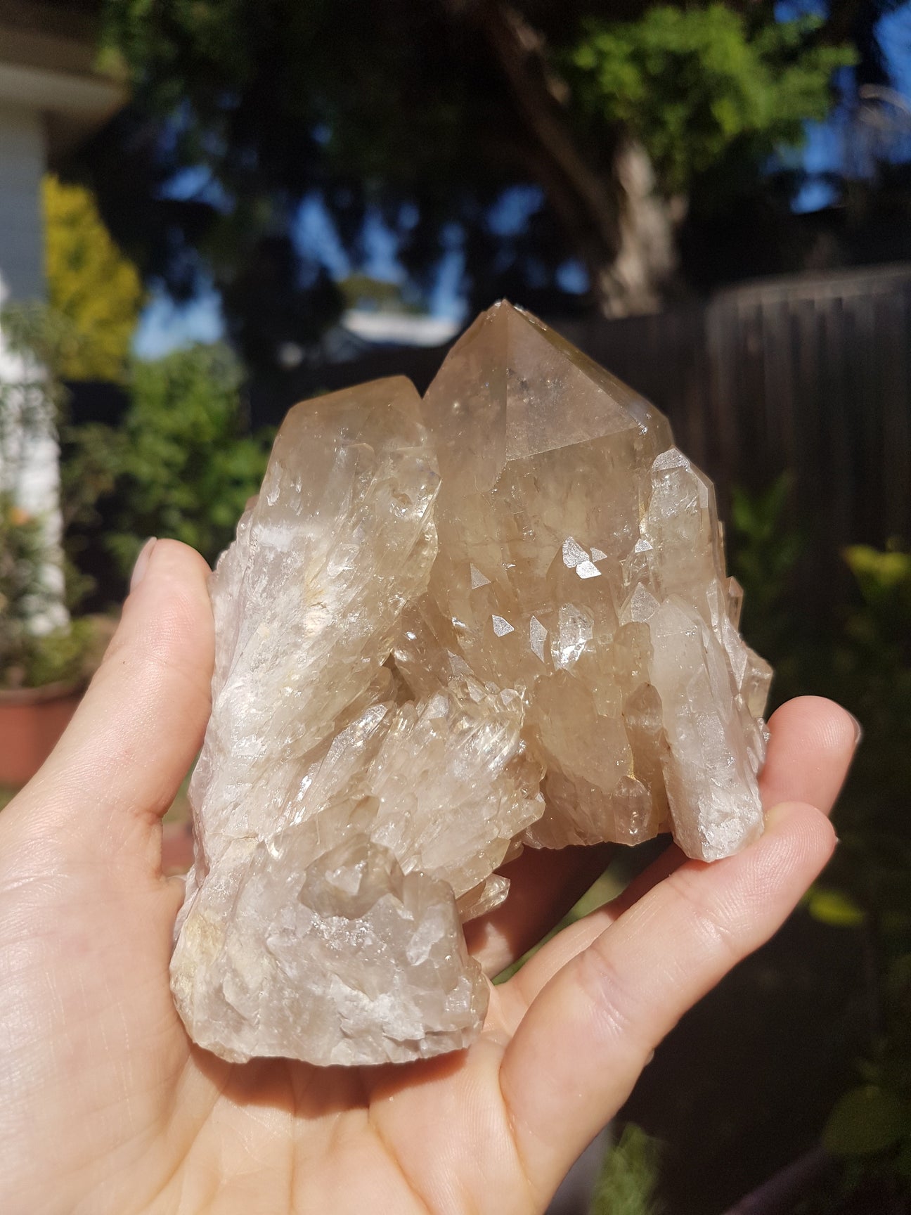 Quartz Crystals - Nature's Magick