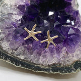 925 SS Starfish stud earrings SE071S