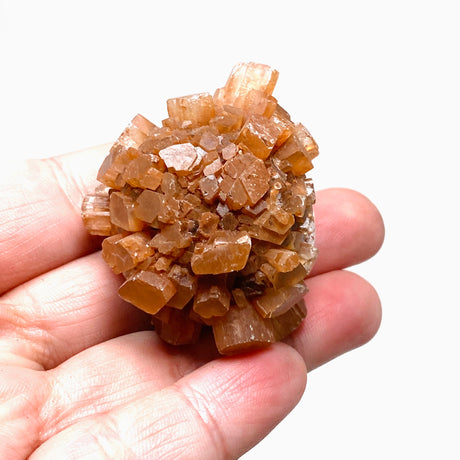 Aragonite Sputnik AAS