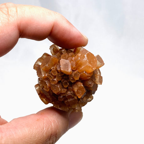 Aragonite Sputnik AAS