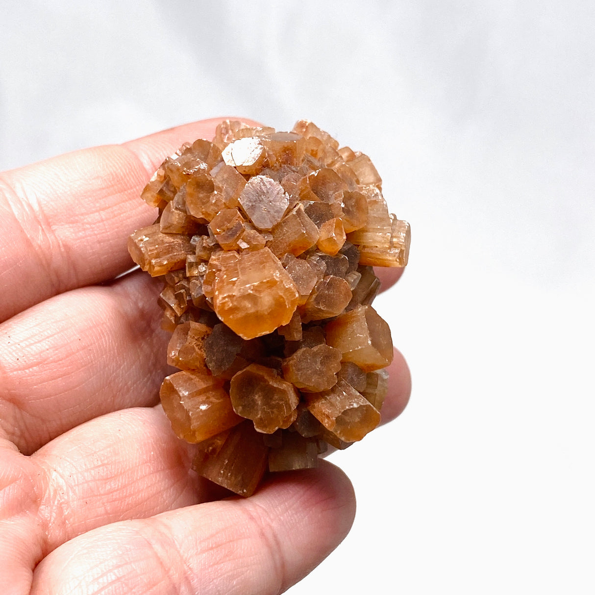 Aragonite Sputnik AAS