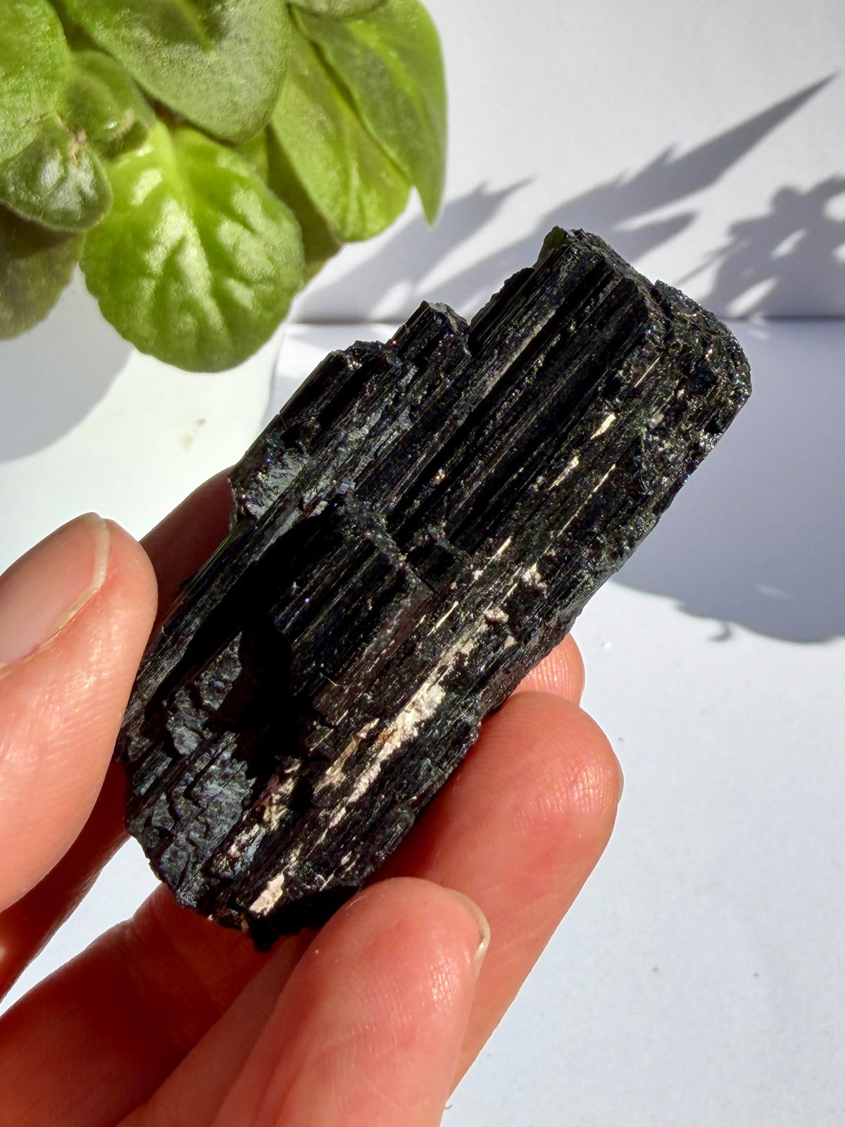Black Tourmaline Raw Crystal 35-50g BKT-03