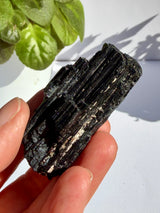 Black Tourmaline Raw Crystal 35-50g BKT-03