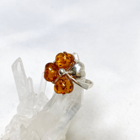 Baltic Amber Clover Ring Size 7.5 AMB246