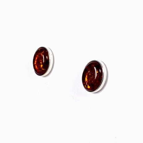 Baltic Amber oval stud earrings AMB219