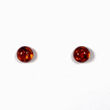 Baltic Amber round stud earrings