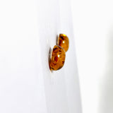 Baltic Amber round stud earrings