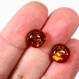 Baltic Amber round stud earrings