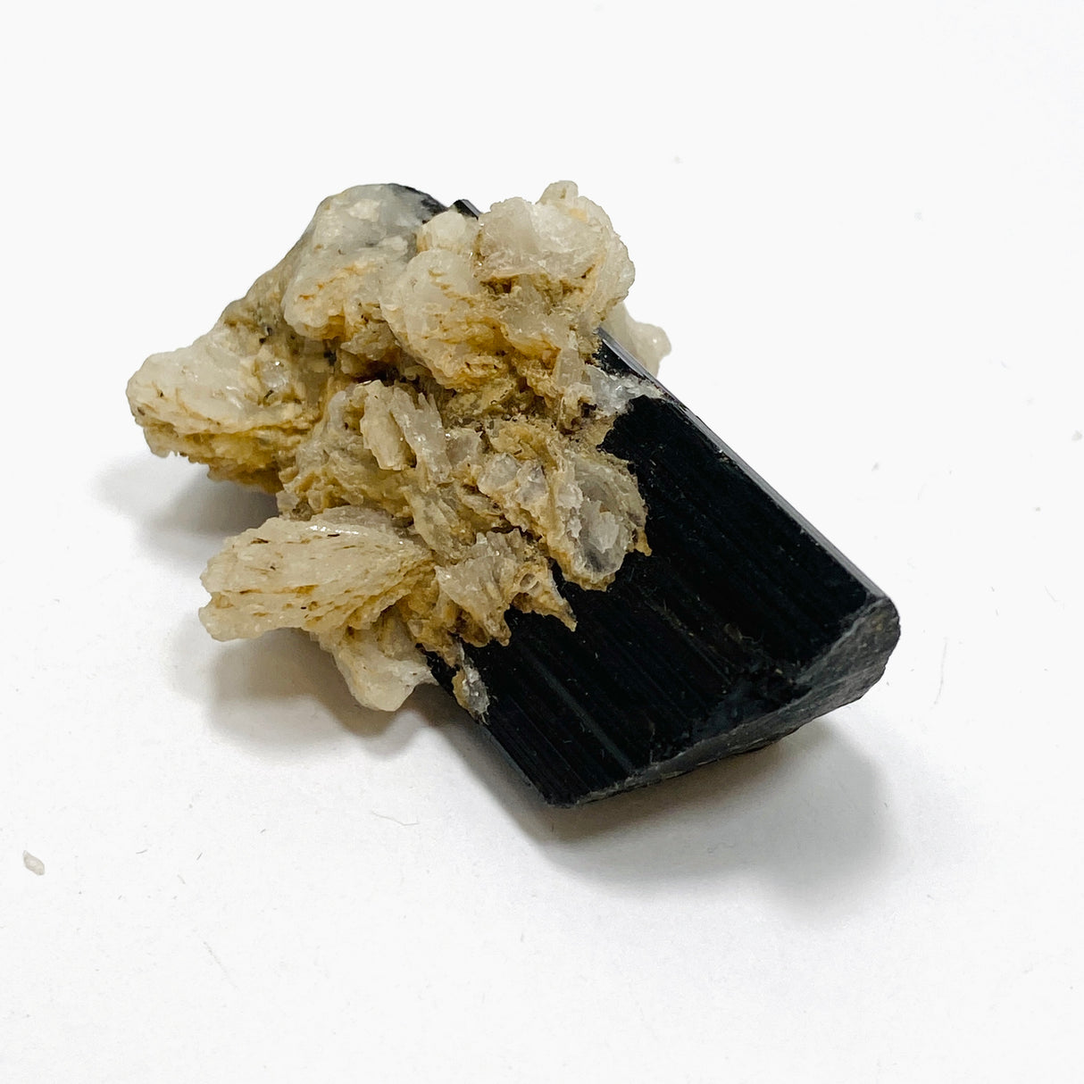 Black Tourmaline Specimen BTS-01