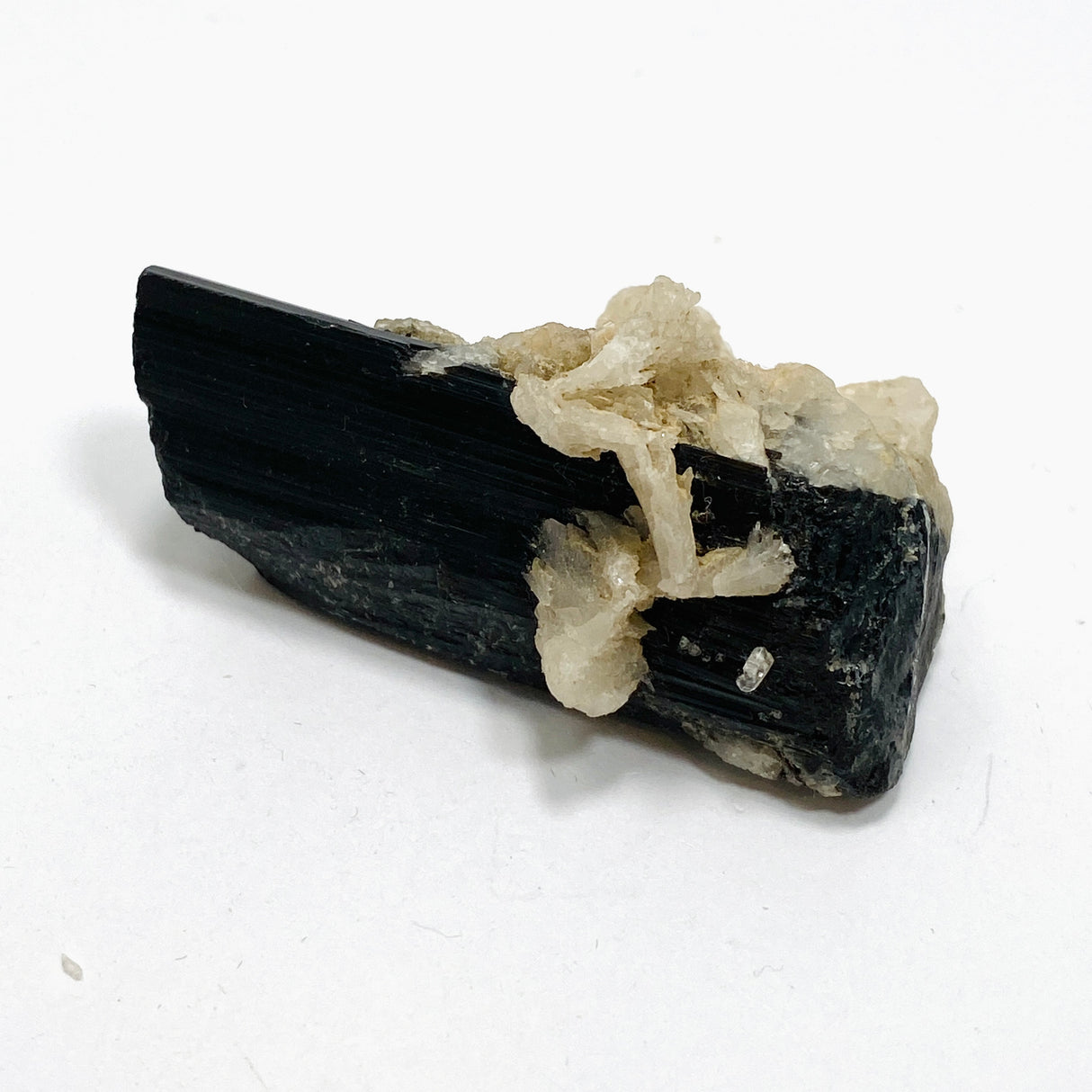 Black Tourmaline Specimen BTS-01