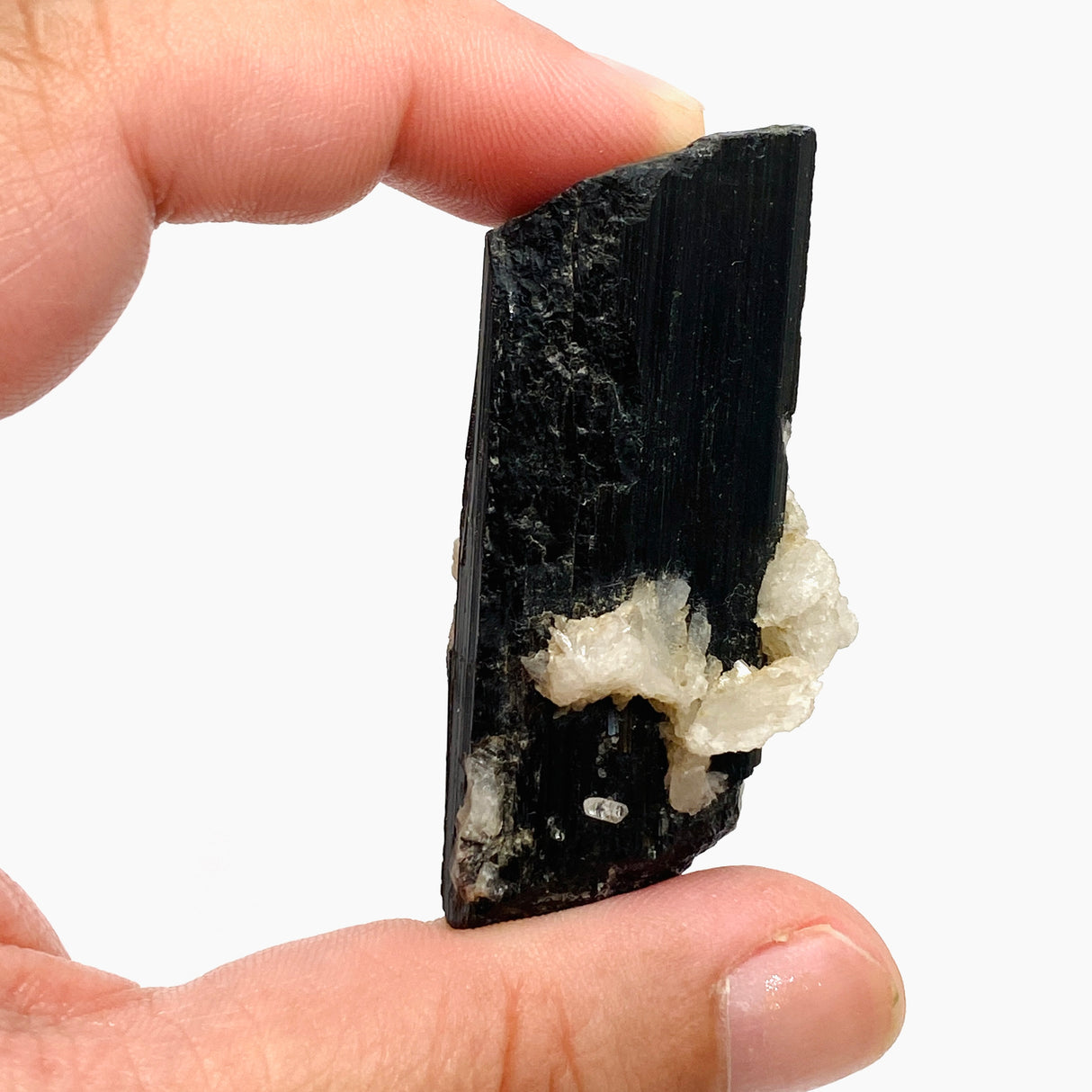 Black Tourmaline Specimen BTS-01