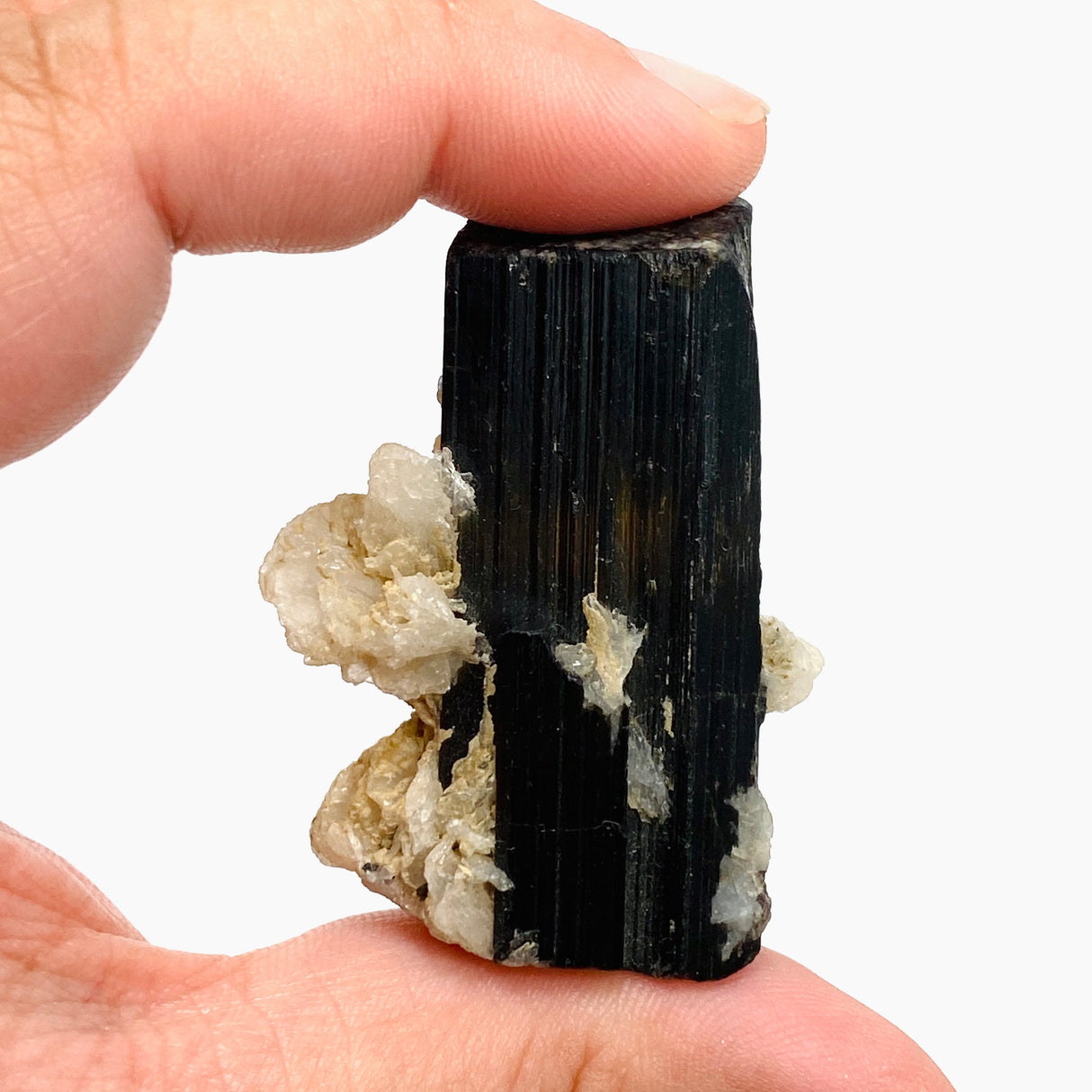 Black Tourmaline Specimen BTS-01