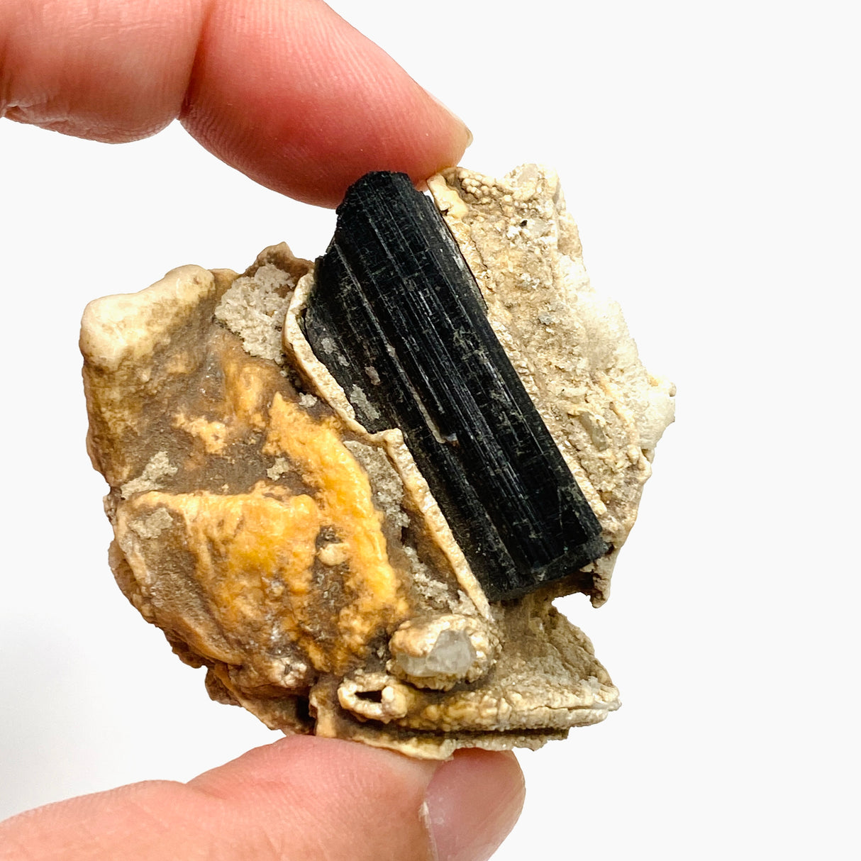 Black Tourmaline Specimen BTS-10