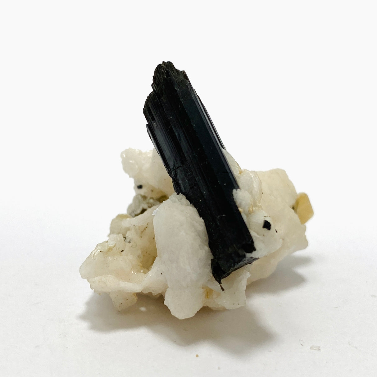 Black Tourmaline Specimen BTS-11