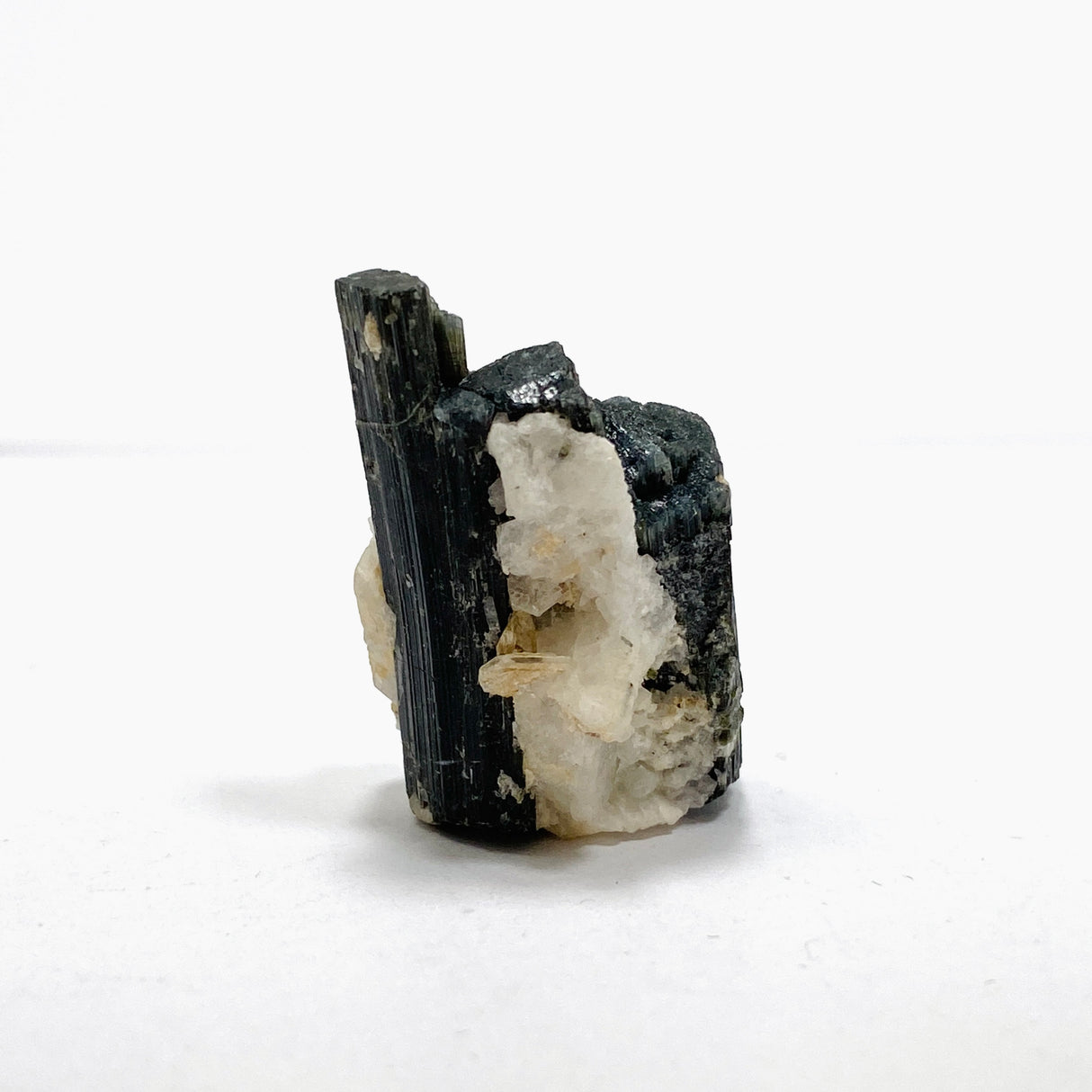 Black Tourmaline Specimen BTS-12