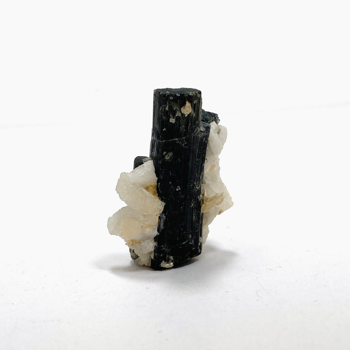 Black Tourmaline Specimen BTS-12