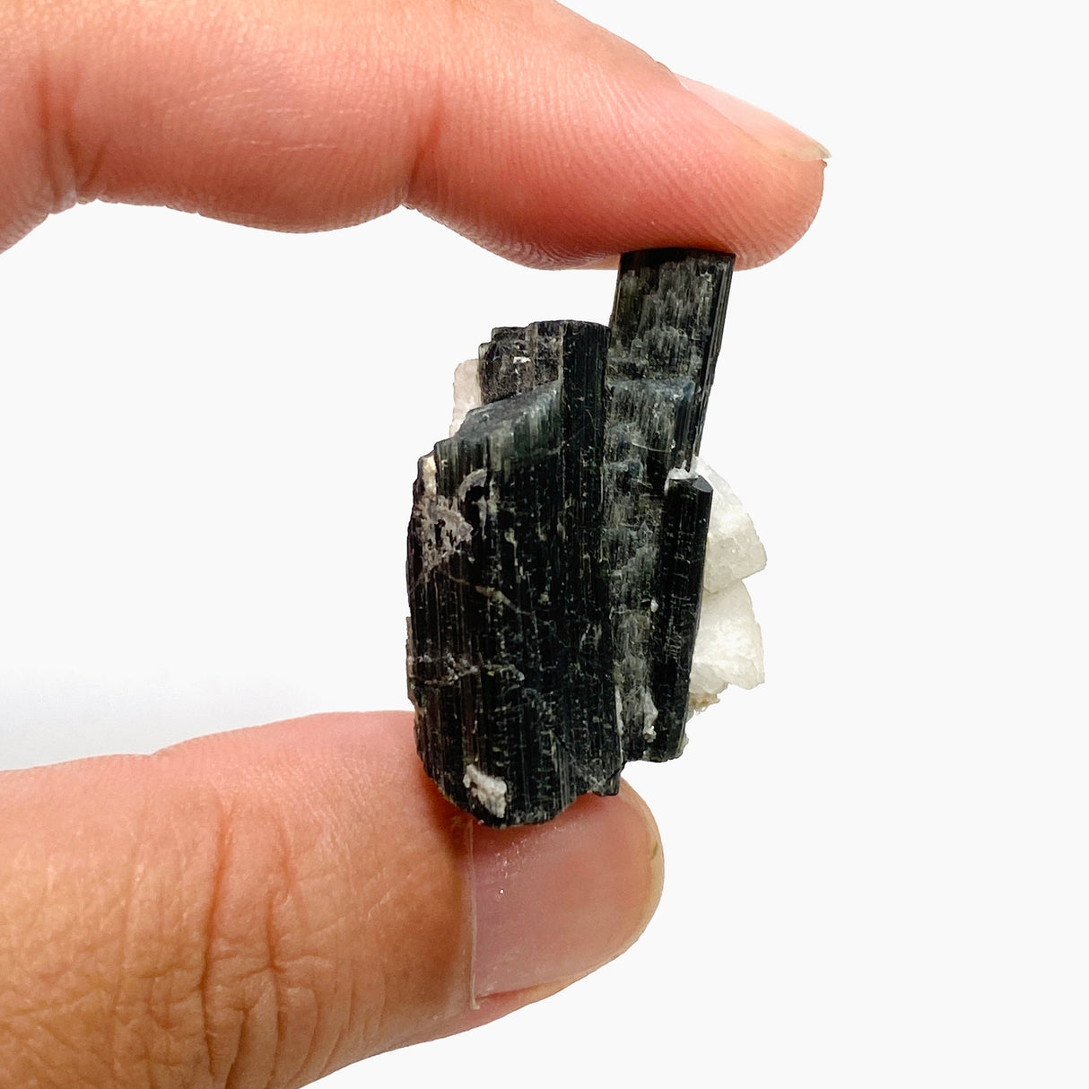 Black Tourmaline Specimen BTS-12