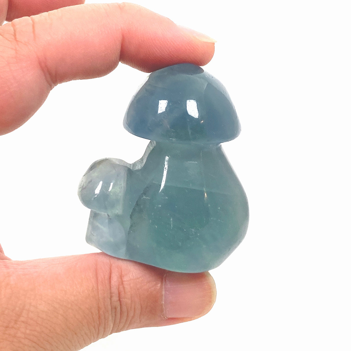 Blue Fluorite Mushroom BFM-01