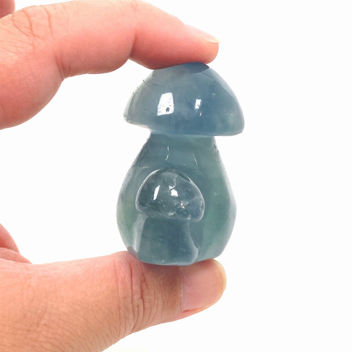 Blue Fluorite Mushroom BFM-01