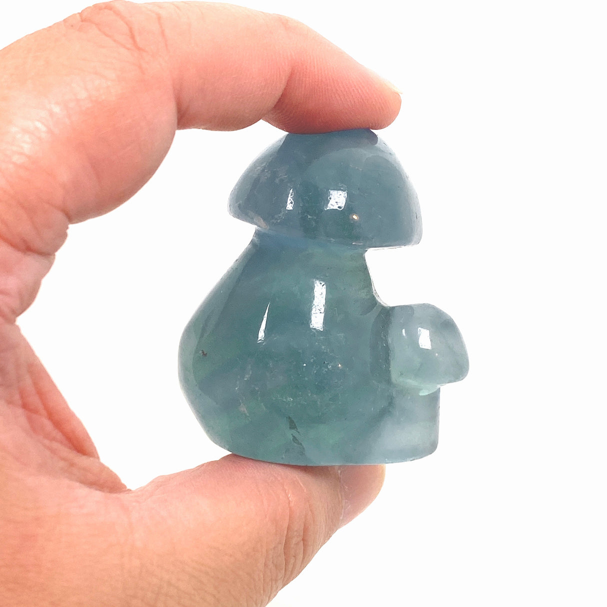 Blue Fluorite Mushroom BFM-01