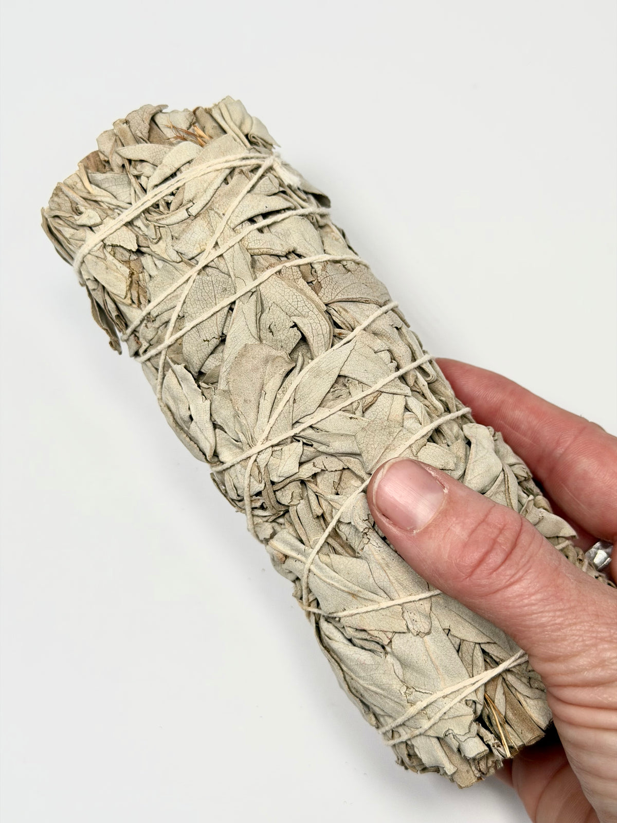 Californian White Sage Smudge Stick - Wildcrafted