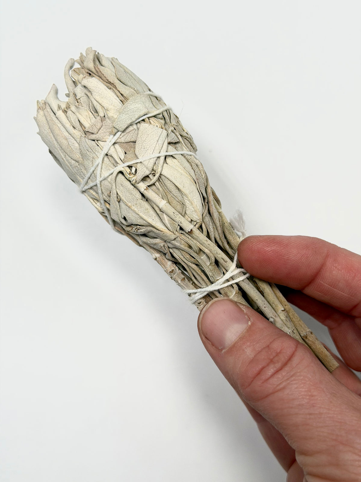 Californian White Sage Smudge Stick - Wildcrafted