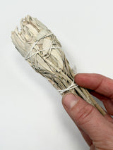 Californian White Sage Smudge Stick - Wildcrafted