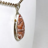 Crazy Lace Rosetta Stone Teardrop Pendant with brass decorative setting KPGJ4569