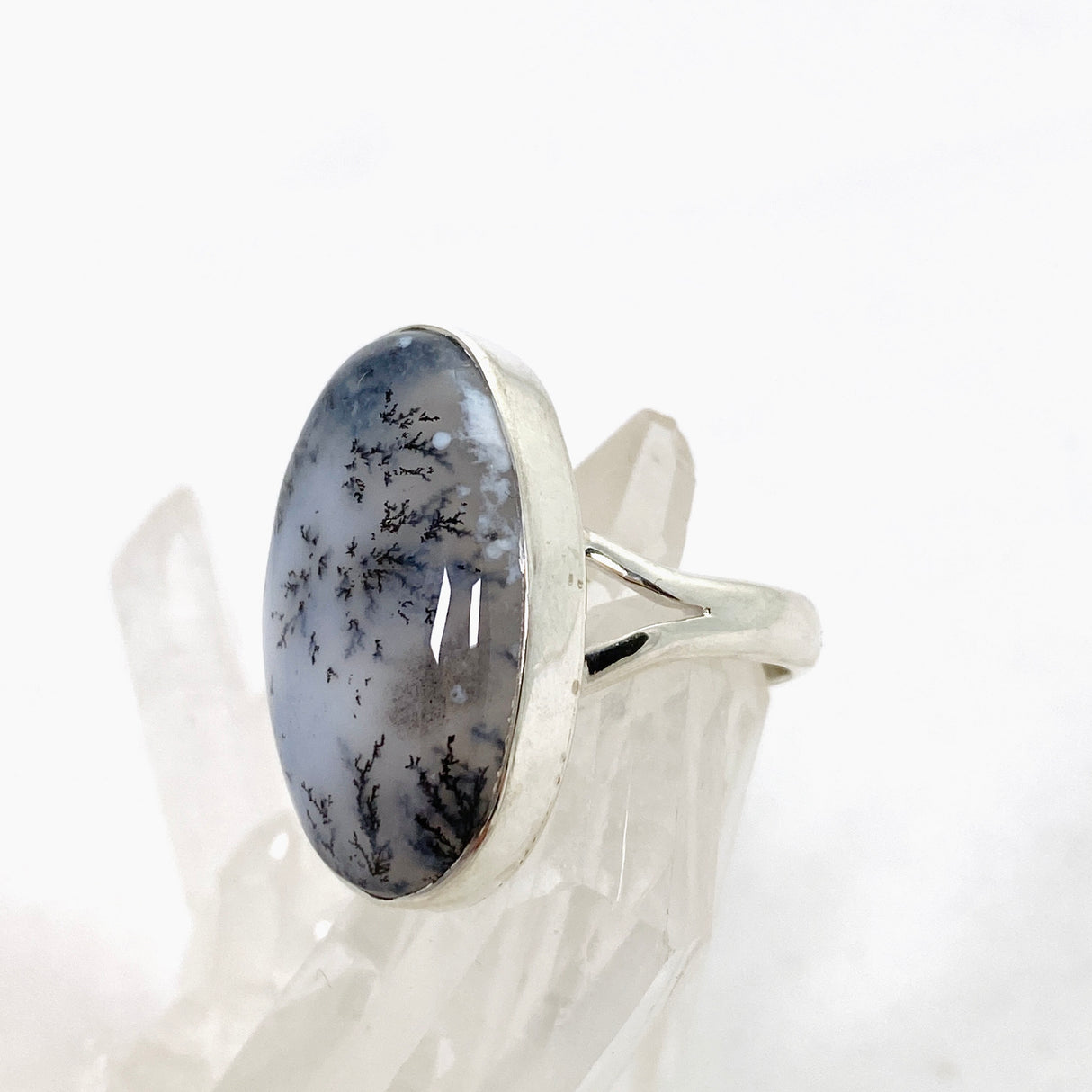 Dendritic Opal Oval Cabochon Split Band Ring Size 8 KRGJ3312