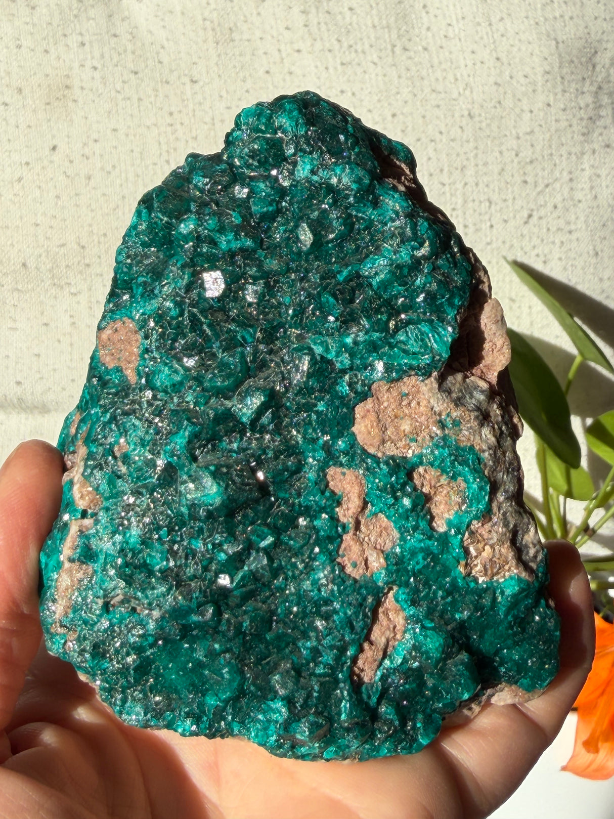 Dioptase - Brazzaville, Congo Mineral Specimen CR3187