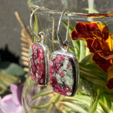 Eudialyte rectangle earrings PEGJ35