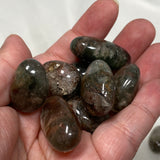 Garden Quartz / Lodolite Tumbled Stones