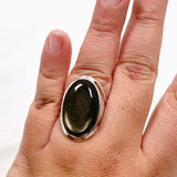 Goldsheen Obsidian Oval  Cabochon Split Band Ring Size 11 KRGJ3341