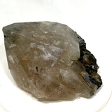 Green Tourmaline in Smokey Quartz large crystal SQGT-01