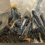 Green Tourmaline in Smokey Quartz large crystal SQGT-01