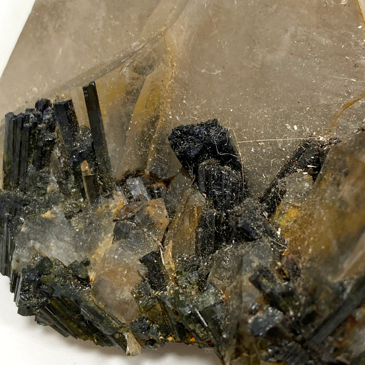 Green Tourmaline in Smokey Quartz large crystal SQGT-01