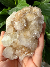 Spirit Quartz Cluster CR3568