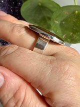 Golden Tiger's Eye Sterling Silver Statement Ring Size 11 KRGJ1291