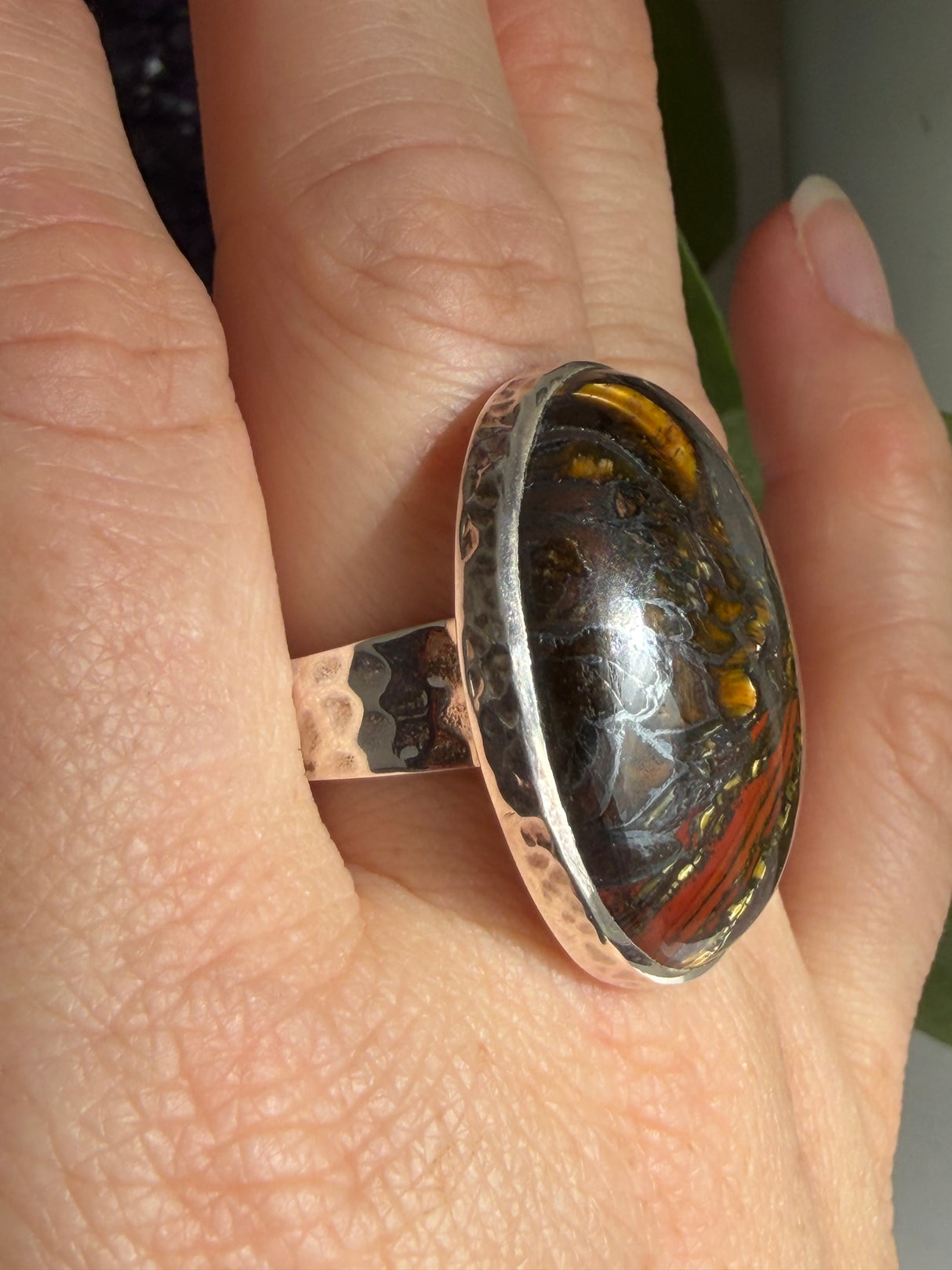 Tiger Iron Oval Ring with Hammered Band, Size 11 KRGJ3064