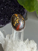 Tiger Iron Oval Ring with Hammered Band, Size 11 KRGJ3064