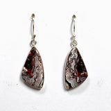 Mexican Crazy Lace Agate Freeform Earrings KEGJ1518