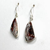 Mexican Crazy Lace Agate Freeform Earrings KEGJ1518