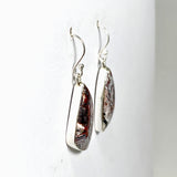 Mexican Crazy Lace Agate Freeform Earrings KEGJ1518