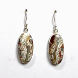 Mexican Crazy Lace Agate Oval Earrings KEGJ1514