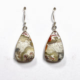 Mexican Crazy Lace Agate Teardrop Earrings KEGJ1515