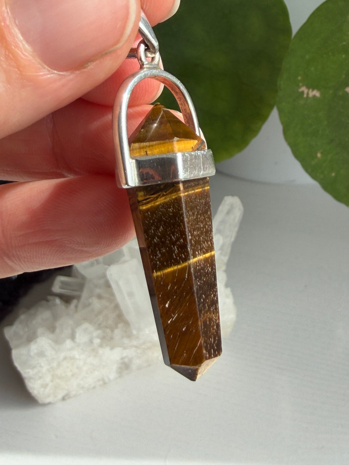 Tiger's Eye Double-Terminated Point Pendant PPGJ1234